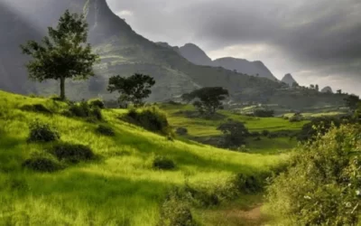 4 Days Simien Mountains Trekking