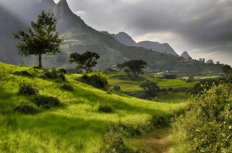 4 Days Simien Mountains Trekking